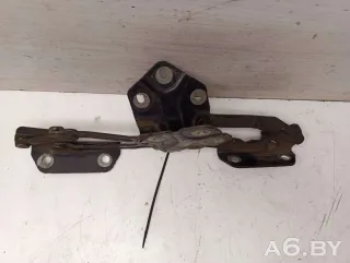 1T0823301,1T0823302 Петля капота Volkswagen Touran 1 Арт 55525524, вид 2