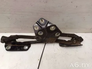 1T0823301,1T0823302 Петля капота Volkswagen Touran 1 Арт 55525524, вид 1