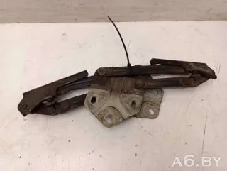 1T0823301,1T0823302 Петля капота Volkswagen Touran 1 Арт 55525524, вид 6