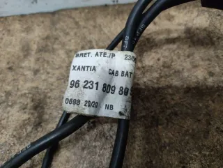 96 231 809 80 Клемма аккумулятора плюс Citroen Xantia Арт 57629729, вид 7