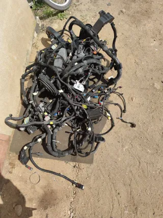 42629065,42783533,544770563 проводка салона Buick Encore GX Арт 482-11, вид 1