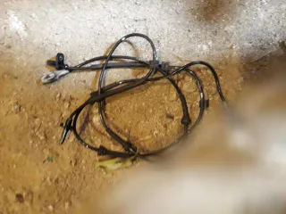  Датчик ABS Citroen Berlingo 2  Арт 18569261, вид 1