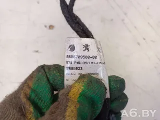 9806709580 Жгут проводов (Проводка) Citroen C4 Picasso 2 Арт 64070692, вид 4