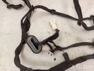 9806361880 Проводка двери задней левой Citroen C4 Picasso 2 Арт 66155927, вид 4