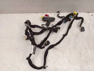 9806358380 Проводка двери передней левой Citroen C4 Picasso 2 Арт 66155947, вид 1