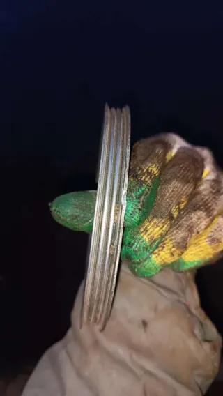 7700866060 Шкив коленвала Renault Megane 1 1.4л моно ( мотор Е7J) Арт 72101738, вид 3