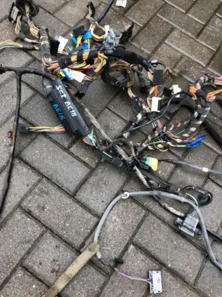  Проводка салона Renault Scenic 1 Арт 73302509, вид 6