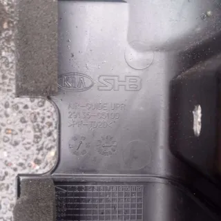 29125C5100,29150C5100 Дефлектор радиатора Hyundai Santa FE 4 (TM) Арт 73486833, вид 9