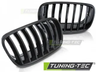  Решетка капота BMW X6 E71/E72 Арт TEC348, вид 1