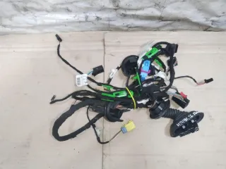 4F1971036E,4F1971687E,4F1971030CK Проводка двери передней правой Audi A6 C6 (S6,RS6) Арт 49851.H1491, вид 1