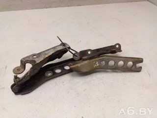 1Z0823301C,1Z0823302C Петля капота Skoda Octavia A5 restailing Арт 74397915, вид 3