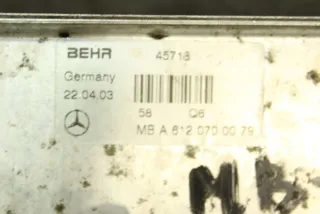 A6120700079 Радиатор топлива Mercedes C W203 2.7л CDi Арт 81041791, вид 2