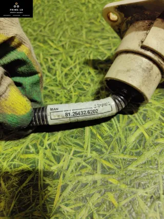 81254326202 РОЗЕТКА ФАРКОПА MAN TGX Арт 21025, вид 5