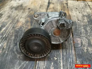281427252,226S1 Натяжитель BMW X5 E53 Арт 81966535, вид 1