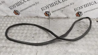  Уплотнитель двери задней правой Audi A6 C5 (S6,RS6) Арт 57839_2000001265498, вид 1