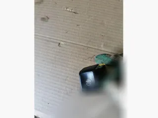  Кнопка противотуманных фар Citroen ZX Арт 128997690, вид 1