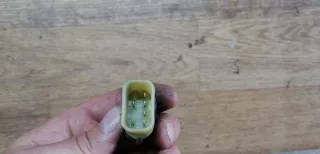  Кнопка стеклоподъемника переднего правого Ford Focus 1 Арт 82845508, вид 3