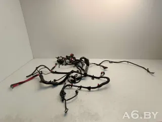 F9Q870 Проводка двигателя Renault Megane 3 1.9л DCi Арт 83981535, вид 1