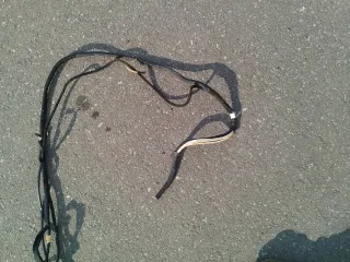  Проводка крышки багажника Citroen C8 Арт 17680, вид 3