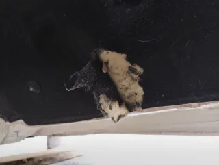  Шумоизоляция КПП BMW 3 G20/G21 2.0л Арт 6709-4, вид 6