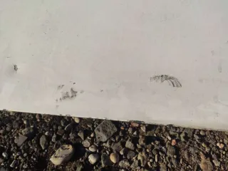  Дверь распашная задняя правая Citroen Berlingo 1 Арт 86599311, вид 5