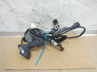 4F1971030C,4F1971036C Проводка двери передней правой Audi A6 C6 (S6,RS6) Арт 54177.F80, вид 1