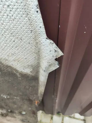 9818834580 Защита (пыльник) двигателя Citroen C4 Grand Picasso 2 Арт 86788123, вид 4