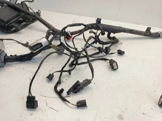 KR3T14290LE,G281T Проводка двигателя Ford Mustang 6 2.3л Арт 87007196, вид 4