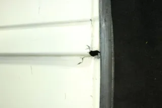  Дверь распашная задняя левая Citroen Jumper 2 Арт 87077743, вид 7