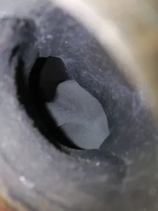 AG9N-5G236-HA,3110302800 Катализатор  Volvo XC90 1 restailing Арт 0350, вид 2