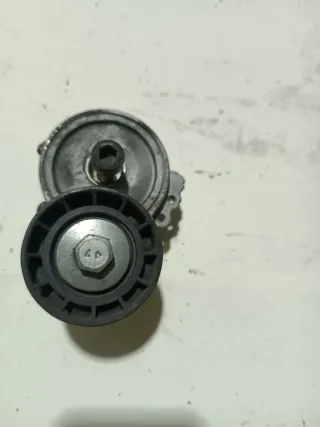  Натяжитель и ролики приводного ремня Citroen Berlingo 1 restailing 1.9л Diz Арт 12394, вид 1