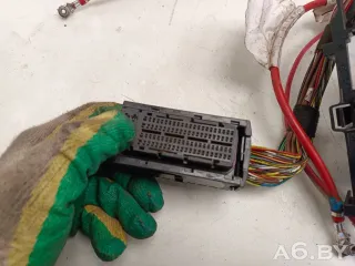 1645430879,CXF Проводка двигателя Volkswagen Multivan T6 2.0л Арт 87592946, вид 3