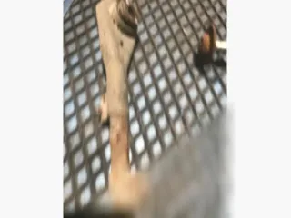 5178.47 Рычаг задний Citroen C6 Арт 107970814, вид 5