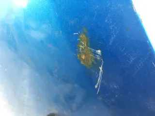  Крыло переднее правое Mazda 3 BL Арт 349071, вид 5