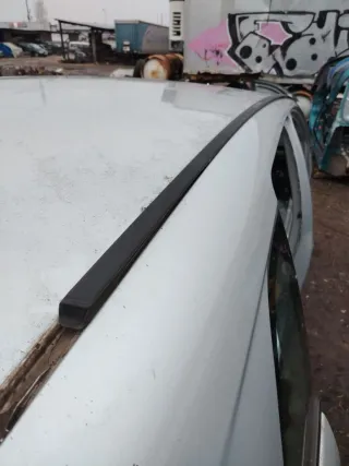 A1696901830, A1696901730 Молдинг крыши Mercedes B W245 Арт 90511337, вид 5