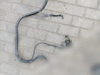  Проводка двигателя Citroen C5 2 2.0л Арт 01439176, вид 5