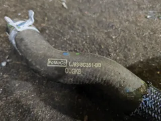 LJ938C351BB Патрубок (трубопровод, шланг) Ford Mustang Mach-E Арт 246-13, вид 2