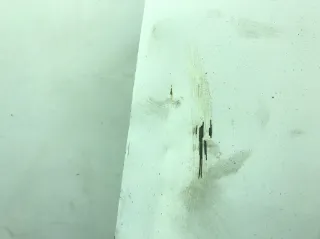  Дверь задняя распашная правая Citroen Jumper 2 Арт 377659, вид 6