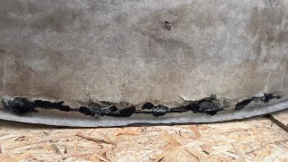 96145139ZG Потолок Citroen Xantia Арт 92008430, вид 6