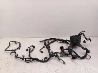 3665085L10, Проводка двигателя Suzuki Splash 1.2л Арт 30057391, вид 1