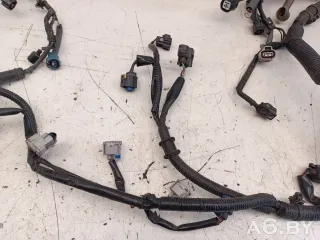 3665085L10, Проводка двигателя Suzuki Splash 1.2л Арт 30057391, вид 3