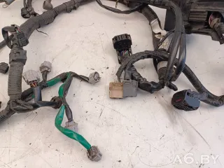 3665085L10, Проводка двигателя Suzuki Splash 1.2л Арт 30057391, вид 5