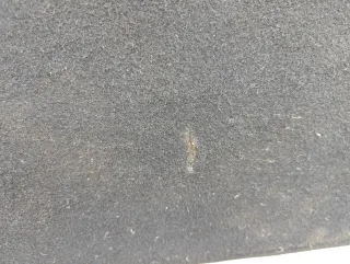  Ковер багажника Citroen C4 Grand Picasso 2 Арт W179216, вид 2