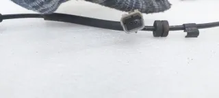 9813764880 Датчик ABS Citroen Berlingo 3 Арт SZ64320, вид 4