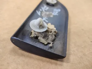 1482656077 Накладка (молдинг) переднего левого крыла Citroen Evasion  Арт 93564082, вид 3