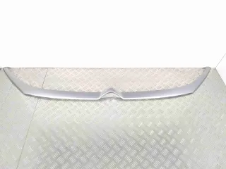 13051724,    1612180480 Молдинг решетки радиатора Citroen Jumper 3 Арт 000838, вид 1