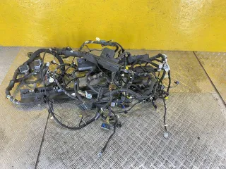 LJ8T14K155,LJ8T-14A005 проводка салона Ford Mustang Mach-E Арт 483-1, вид 1