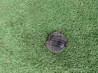 866672B700 Заглушка (решетка) в бампер задний Hyundai Santa FE 2 (CM) Арт 93947587, вид 2