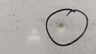  Дверь задняя распашная правая Citroen Jumper 2 Арт 4104_2000001300377, вид 8