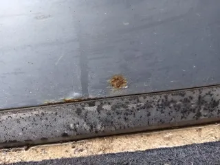  Дверь задняя левая Volkswagen Passat B6 Арт 94200822, вид 2